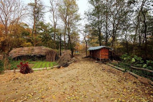 鄉(xiāng)村振興產業(yè)規(guī)劃